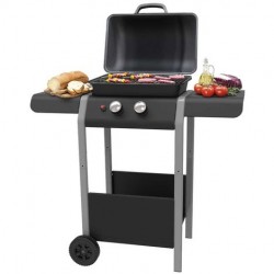 Barbecue a Gas con Pietra Lavica e Fornello