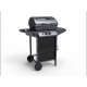 Barbecue a Gas con Pietra Lavica e Fornello